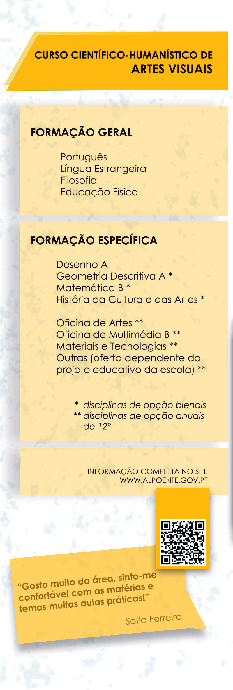 Cursos Científico-Humanísticos — Artes Visuais